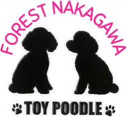 FOREST NAKAGAWA